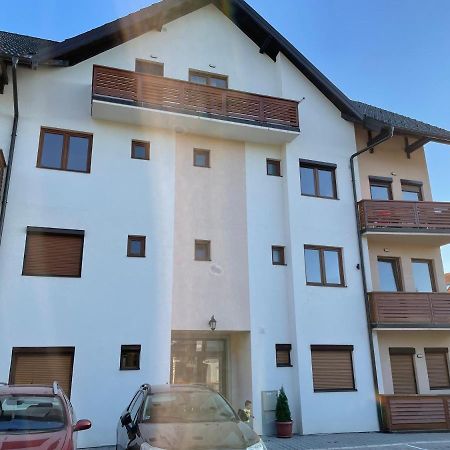 Apartman Bela Reka Zlatibor Appartement Buitenkant foto